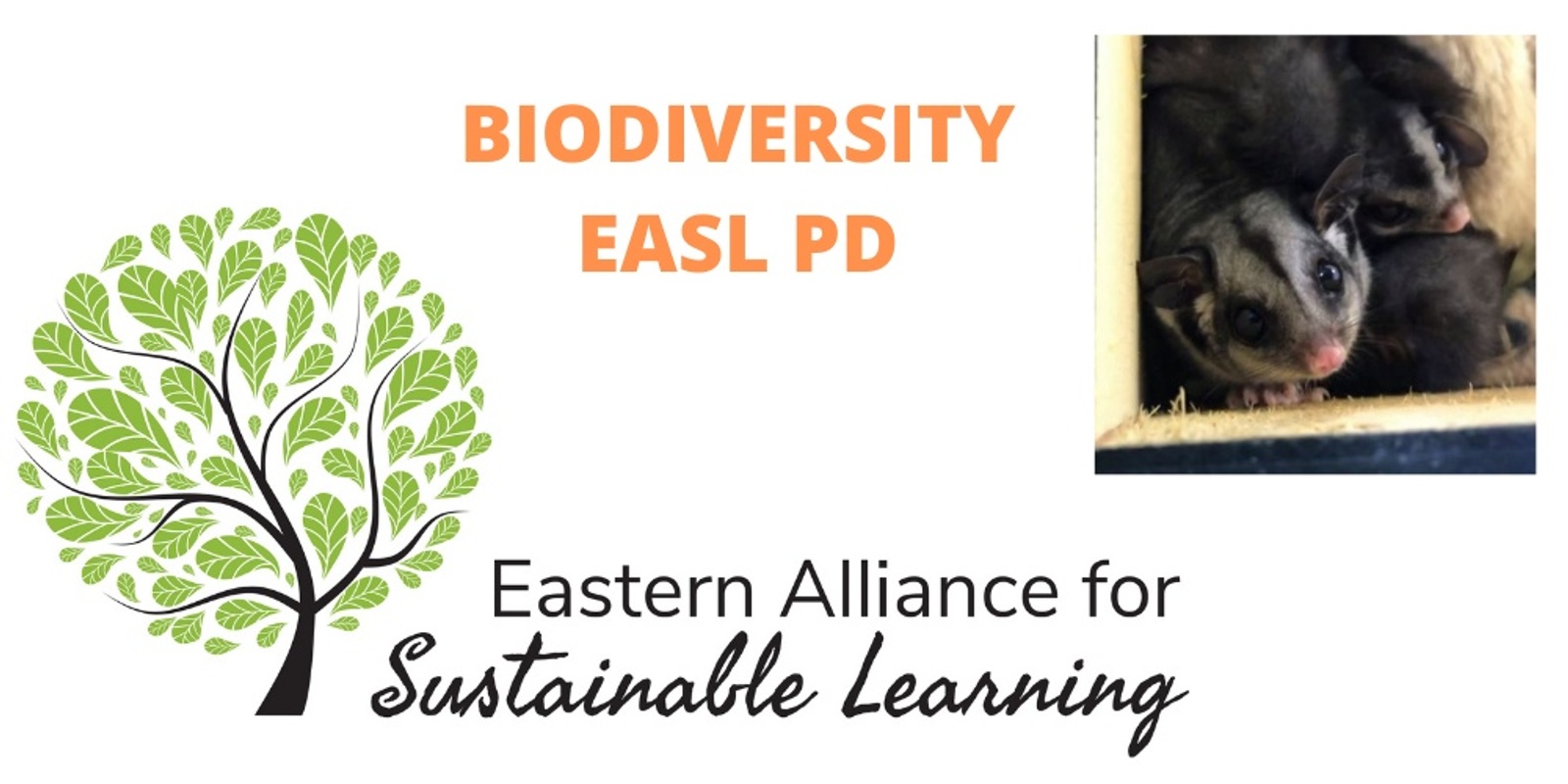 Banner image for Biodiversity |EASL Term 4 PD