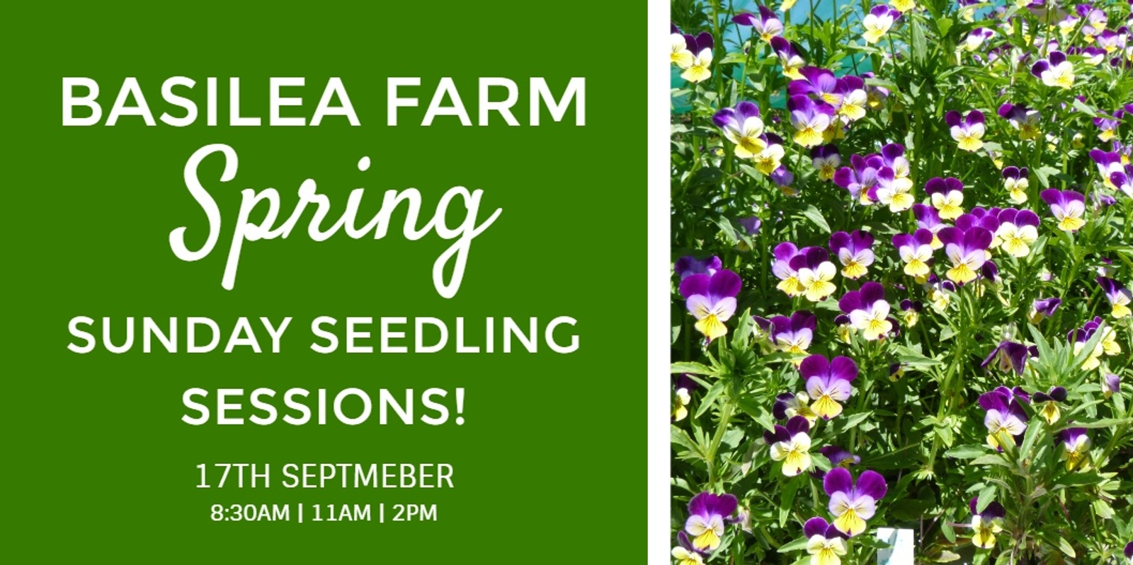 Banner image for Spring Sunday Sessions @ Basilea Farm