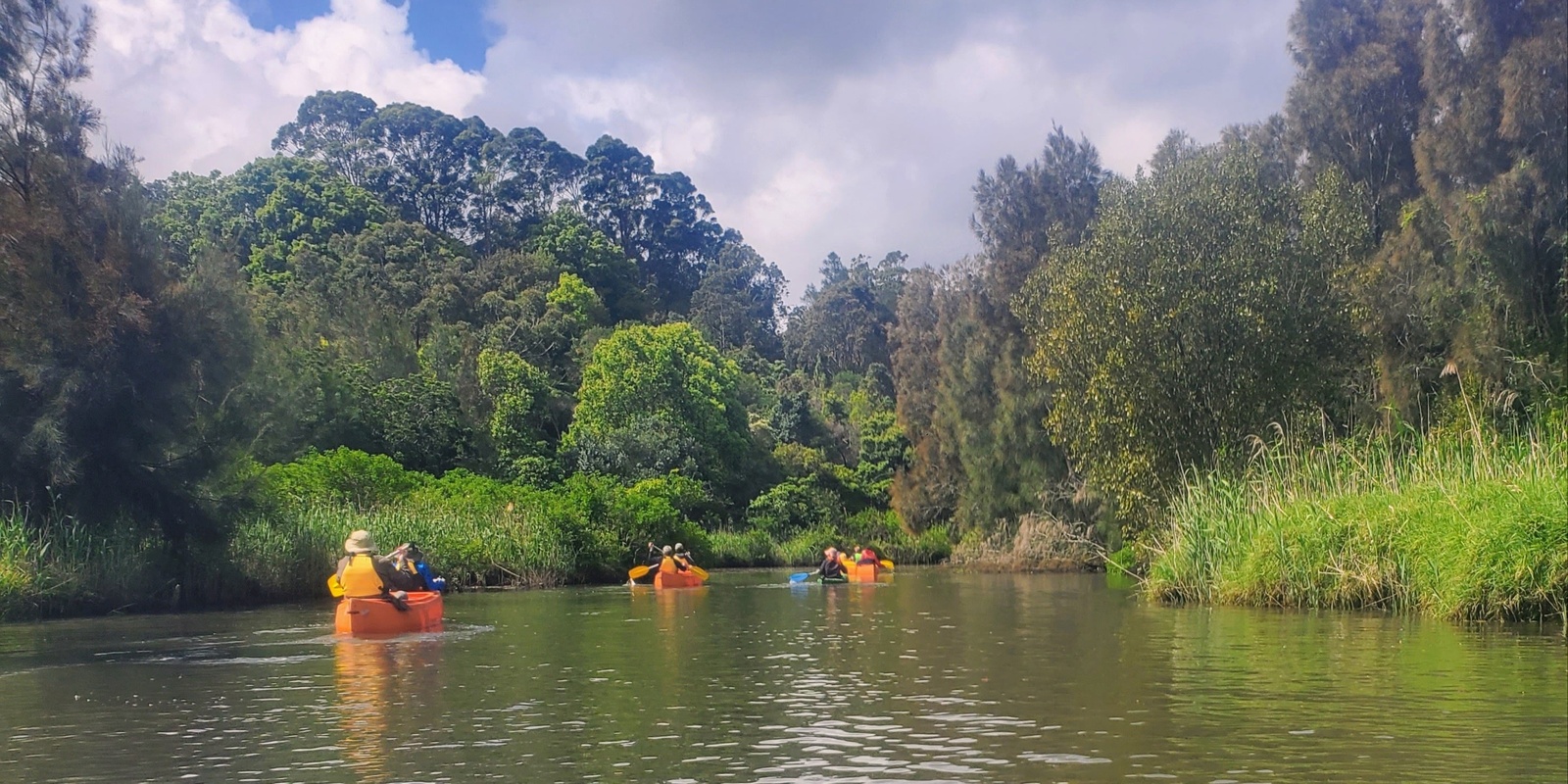 Banner image for Wolli Creek Eco-Paddle