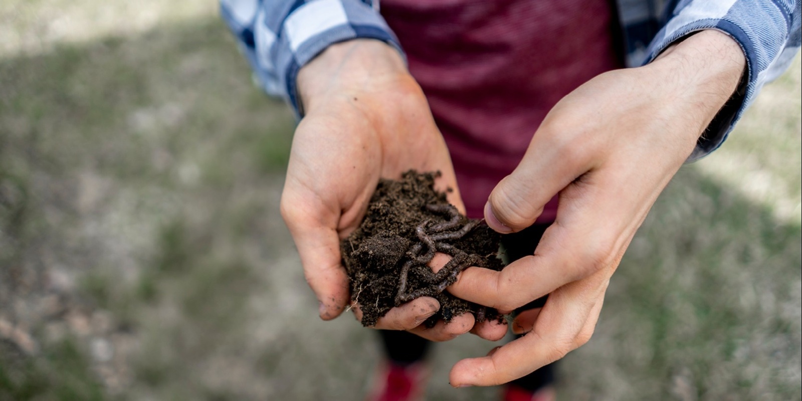 Banner image for Thinking Green: Worm farming in Caversham