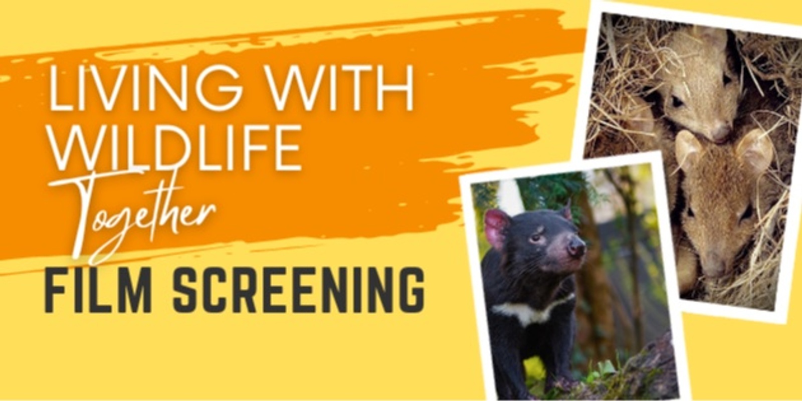 Banner image for Living With Wildlife Together - Film Screening - STANLEY