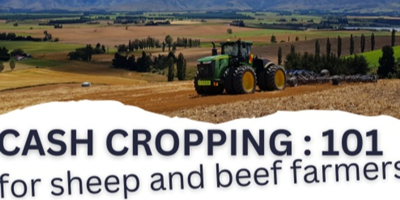 Banner image for Cash Cropping - Farm walk for Sheep and Beef Farmers