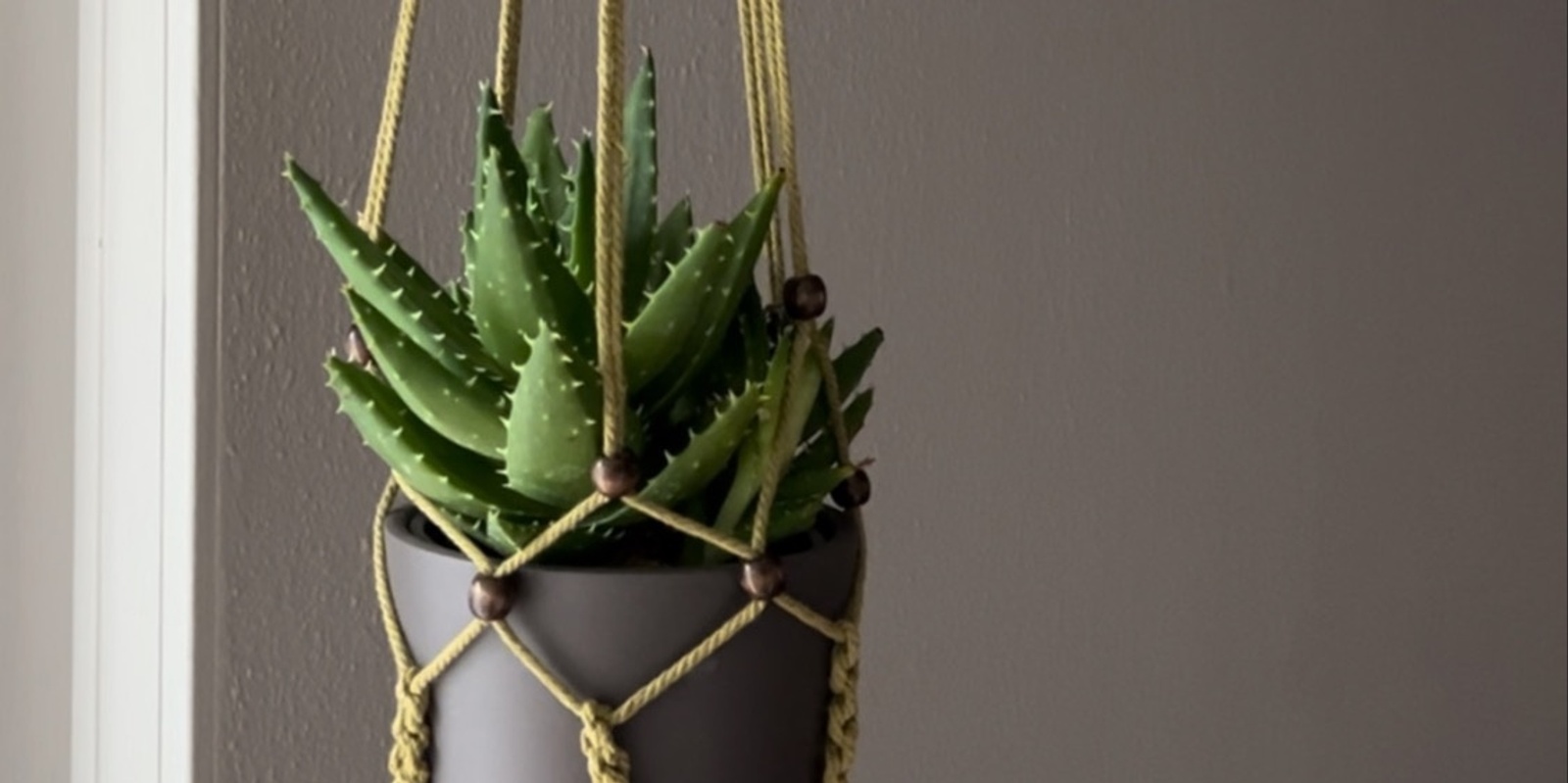 Banner image for Plant Hanger: Beginner friendly macrame beaded Workshop