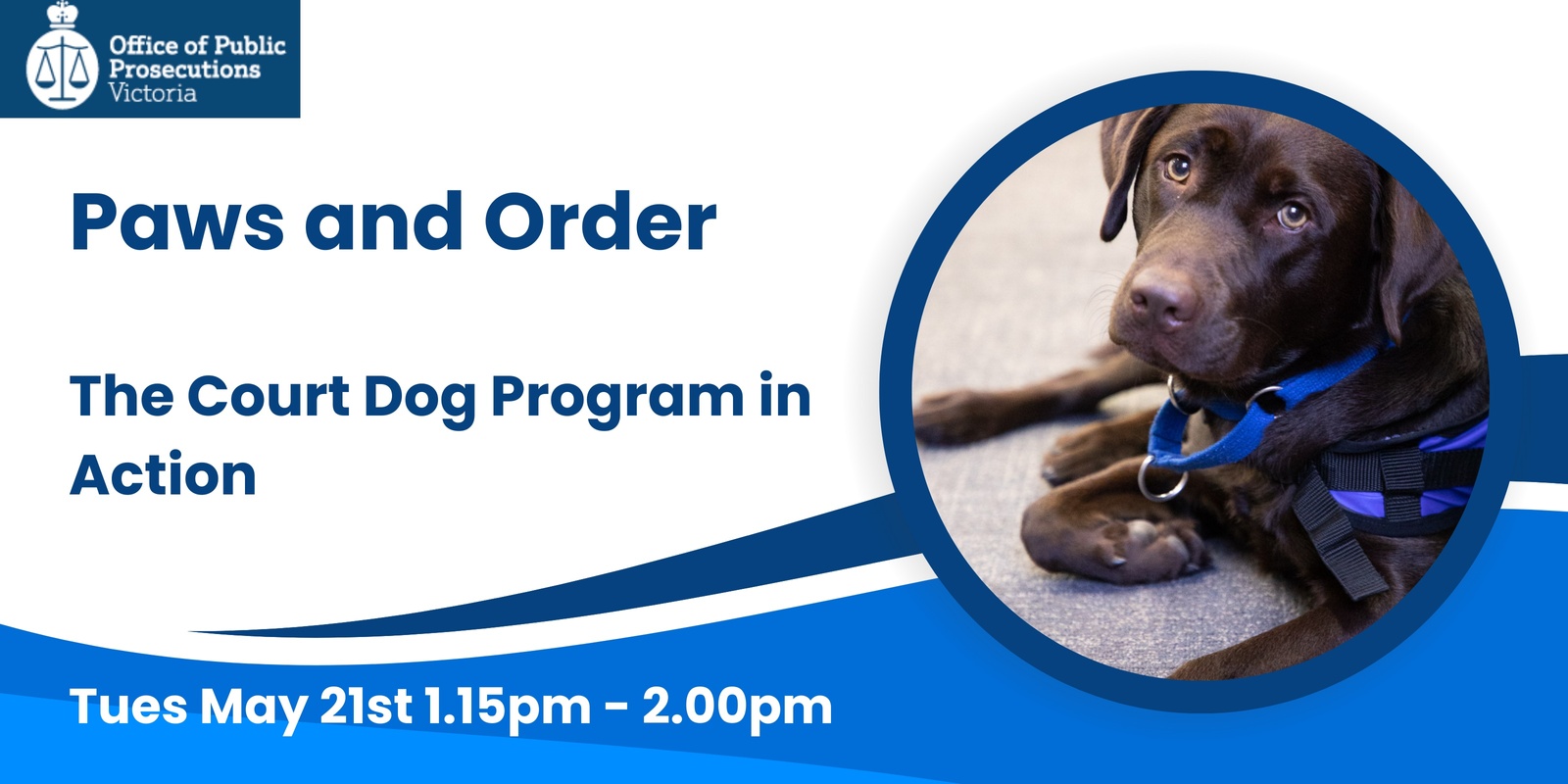 Banner image for Paws and Order. The Court Dog Program in Action