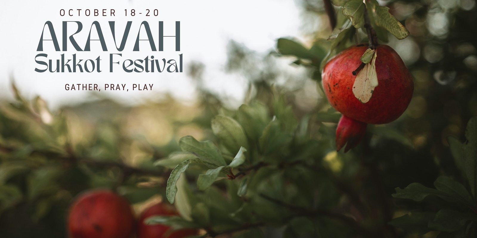 Banner image for Aravah Sukkot Festival