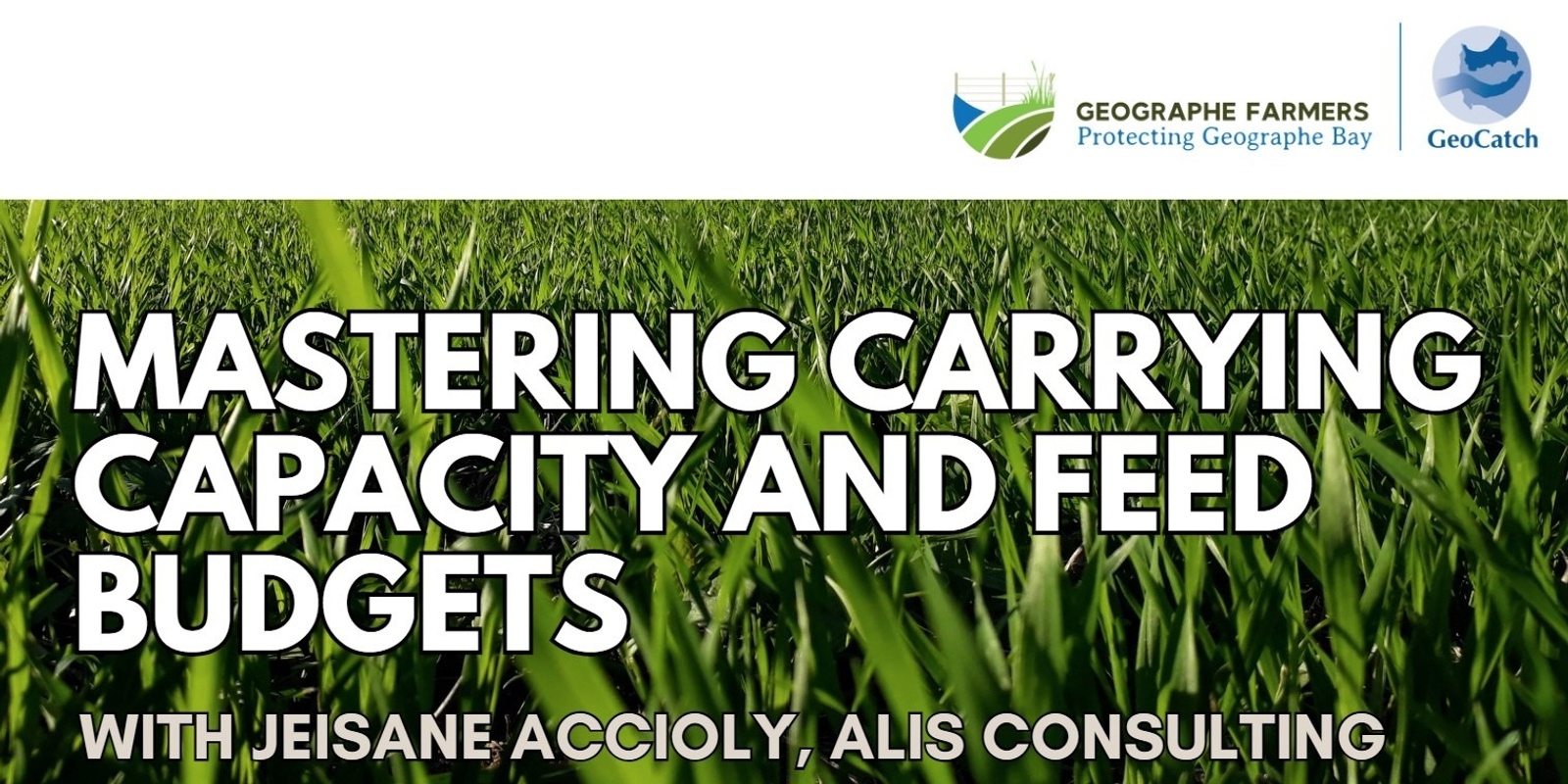 Banner image for Mastering carrying capacity and feed budgets for grazing enterprises