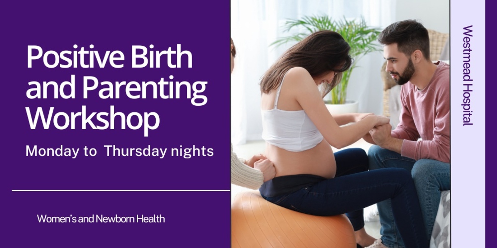 Banner image for Positive Birth and Parenting Workshop - Tuesday 28th January to 4th March