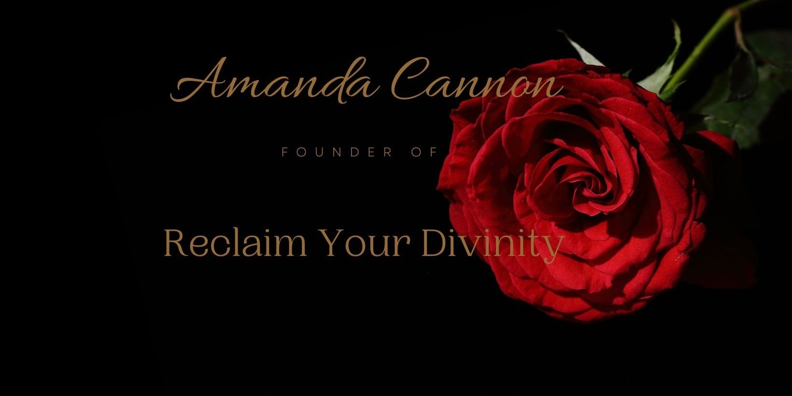 Amanda Cannon's banner