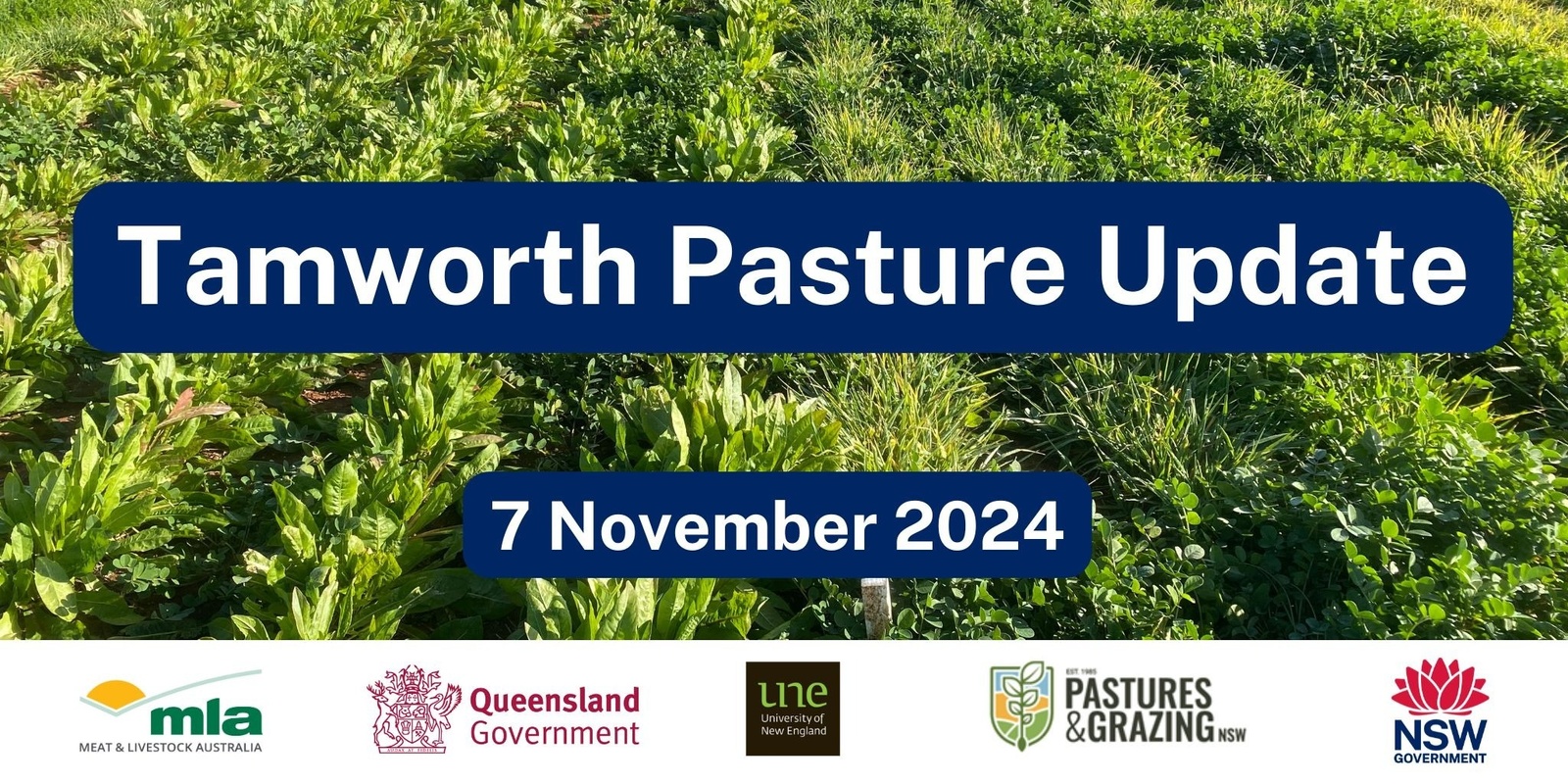 Banner image for Tamworth Pasture Update