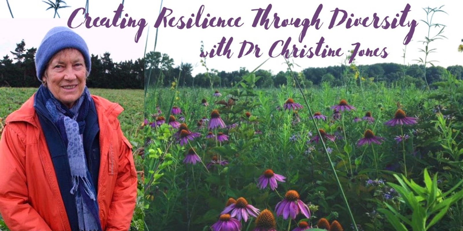 Banner image for Creating Resilience Through Diversity