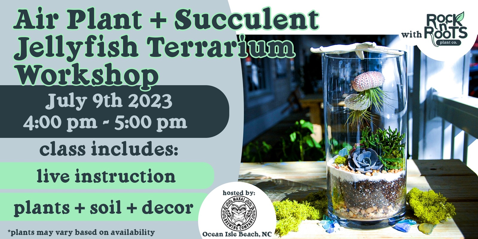 Banner image for Air Plant + Succulent Jellyfish Terrarium Workshop at Makai Brewing (Ocean Isle Beach, NC)