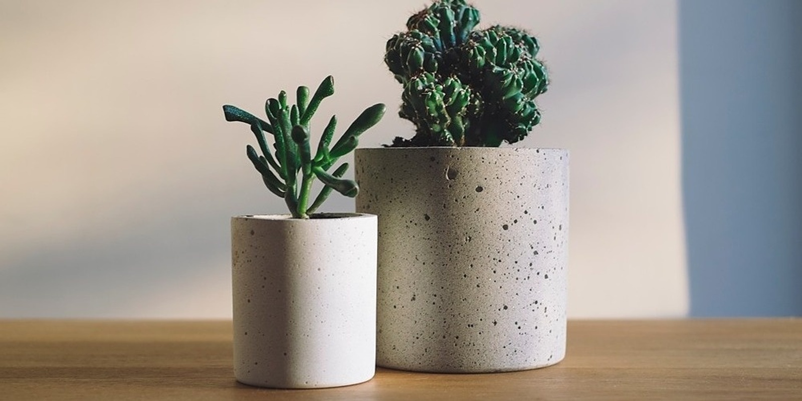 Concrete Crafts: Make a Planter with Maria
