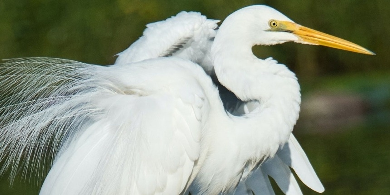 Banner image for Estuary Discovery (5 years +)