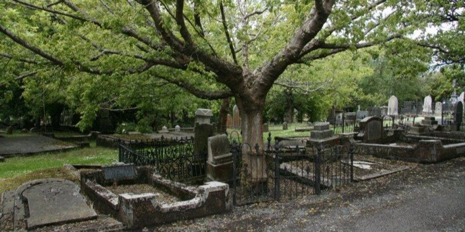 Banner image for The Northern Cemetery Tour - Dunedin