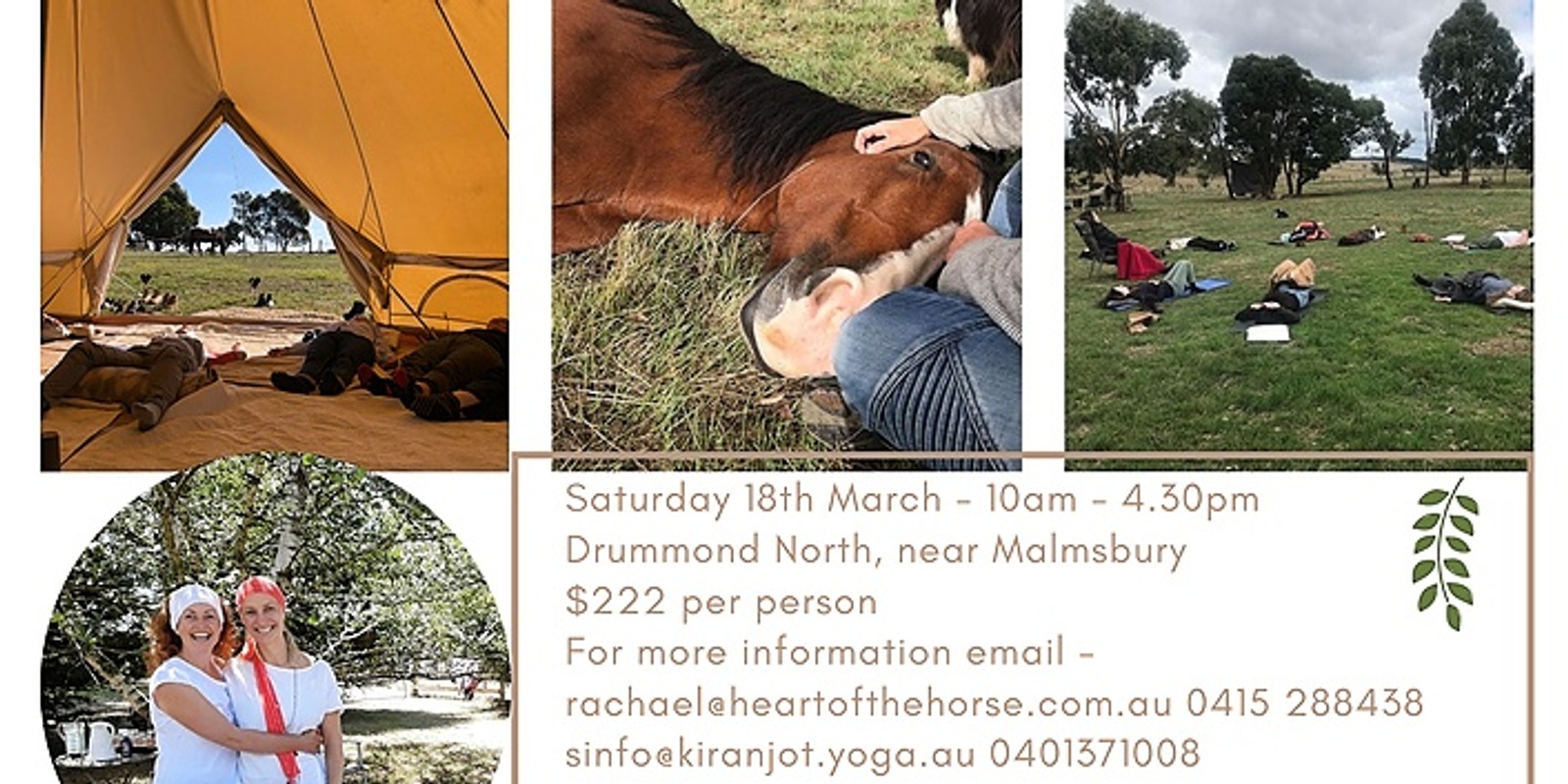 Banner image for Relax, Reset & Receive One day Retreat with Heart of the Horse Drummond North