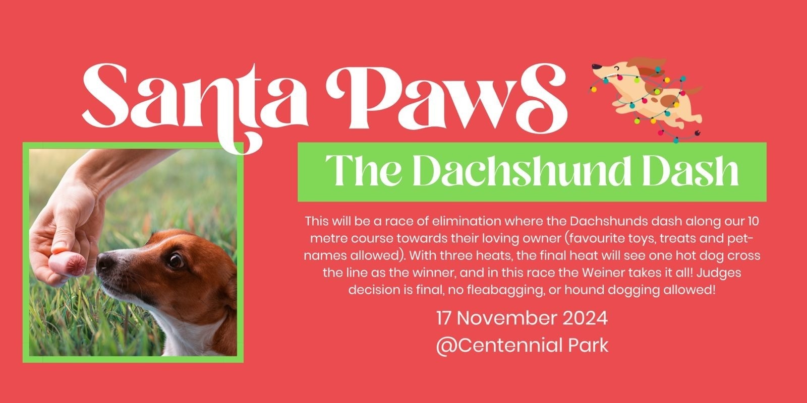 Banner image for The Dachshund Dash (Sausage Dog Races) -  Santa Paws Event 2024