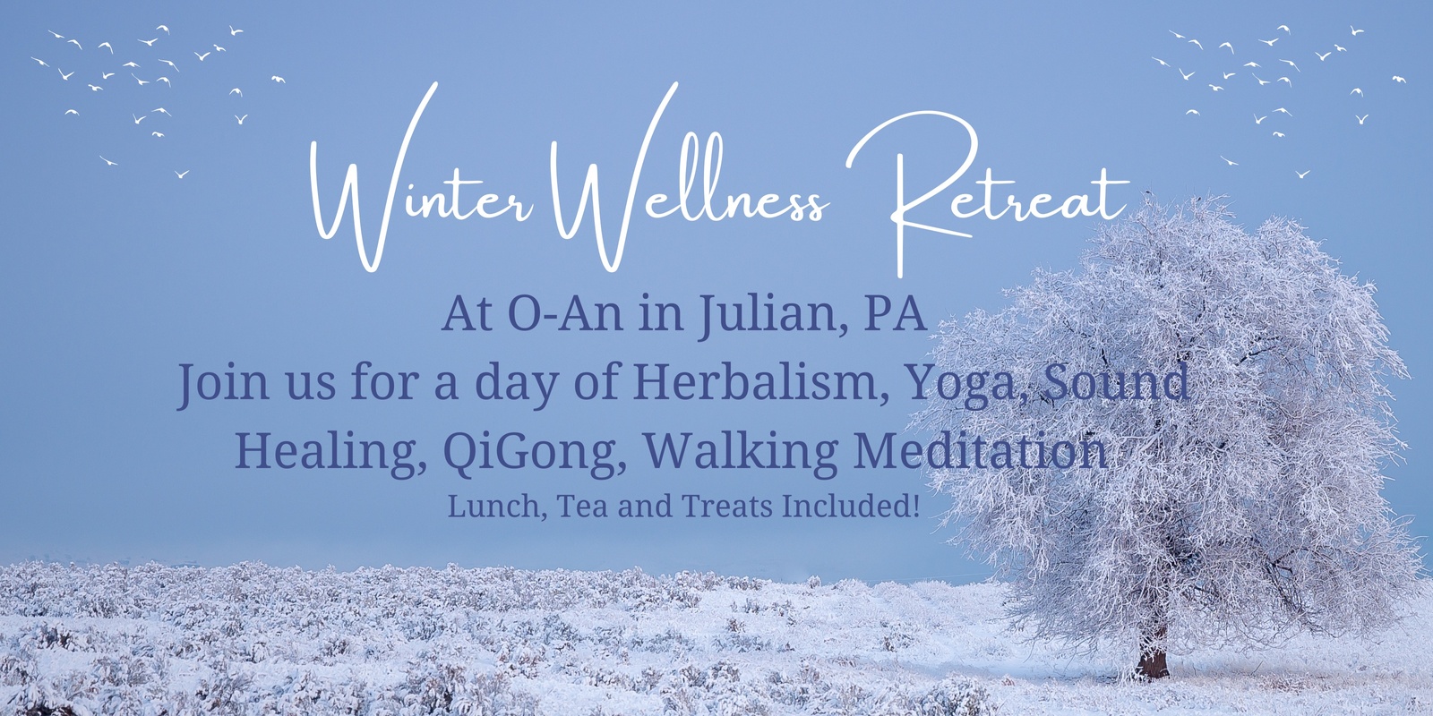 Banner image for Winter Wellness Retreat