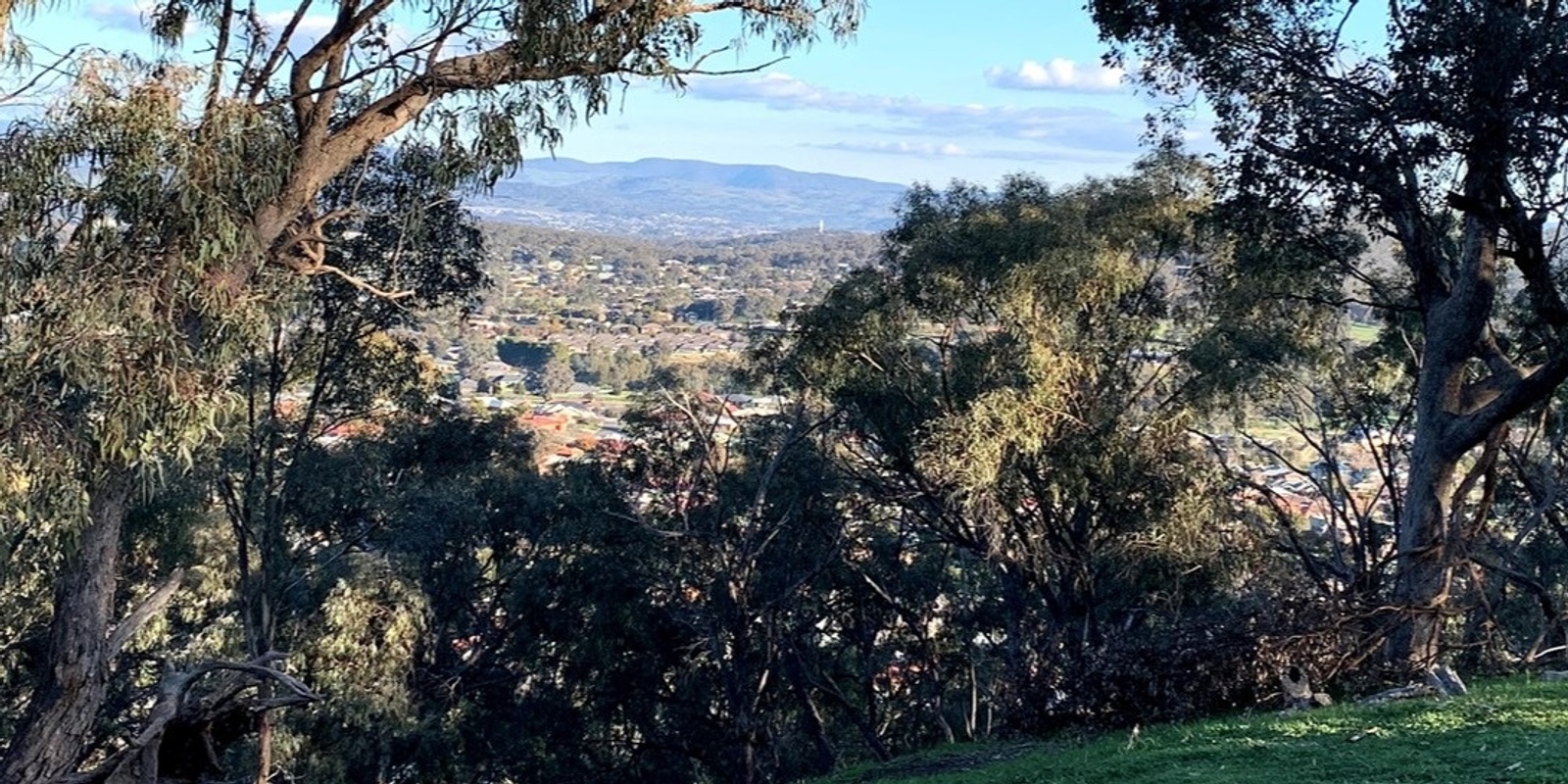 Banner image for Monument Hill Community Stewardship Morning