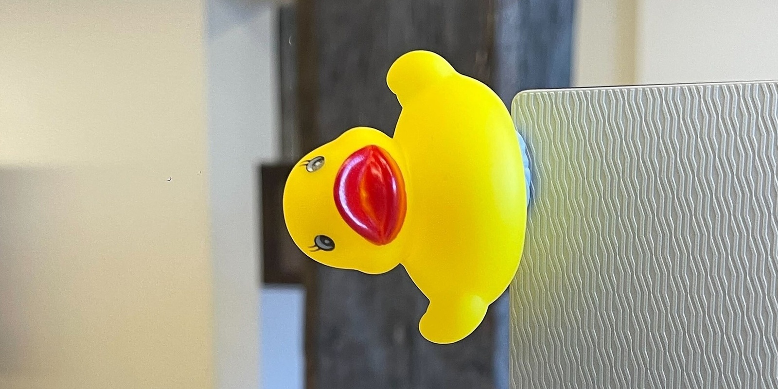 Banner image for Doug the Duck