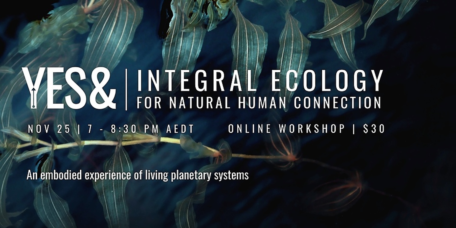 Banner image for YES& | INTEGRAL ECOLOGY: For Natural Human Connection