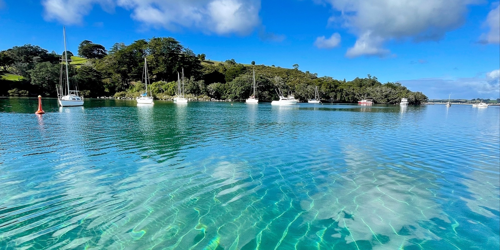 Banner image for The state of the Whangateau Harbour - a community hui