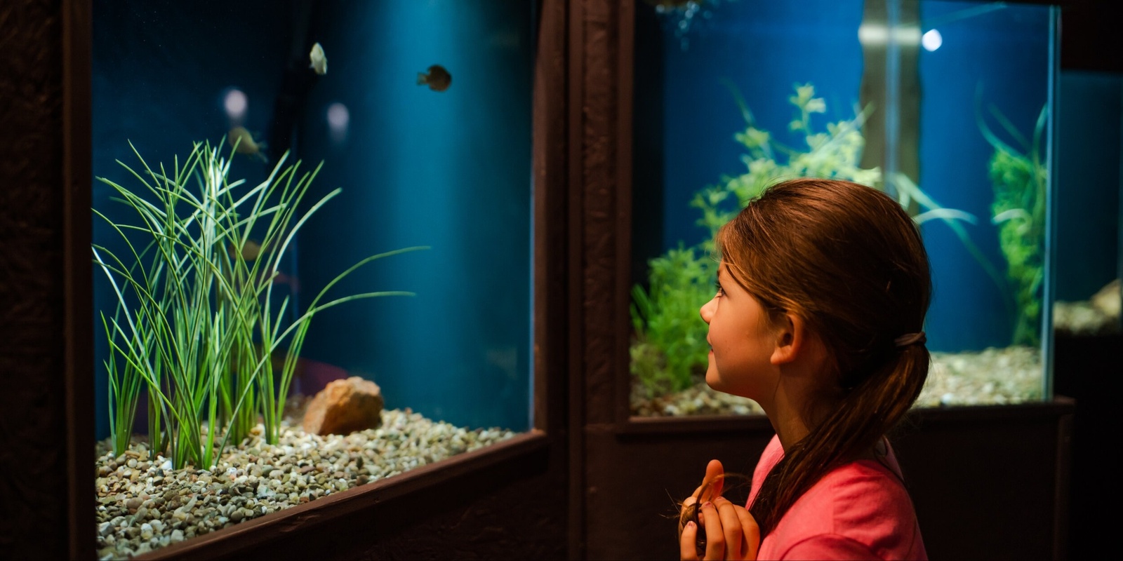 Banner image for Medicine Park Aquarium Field Trip October 30th- Medicine Park