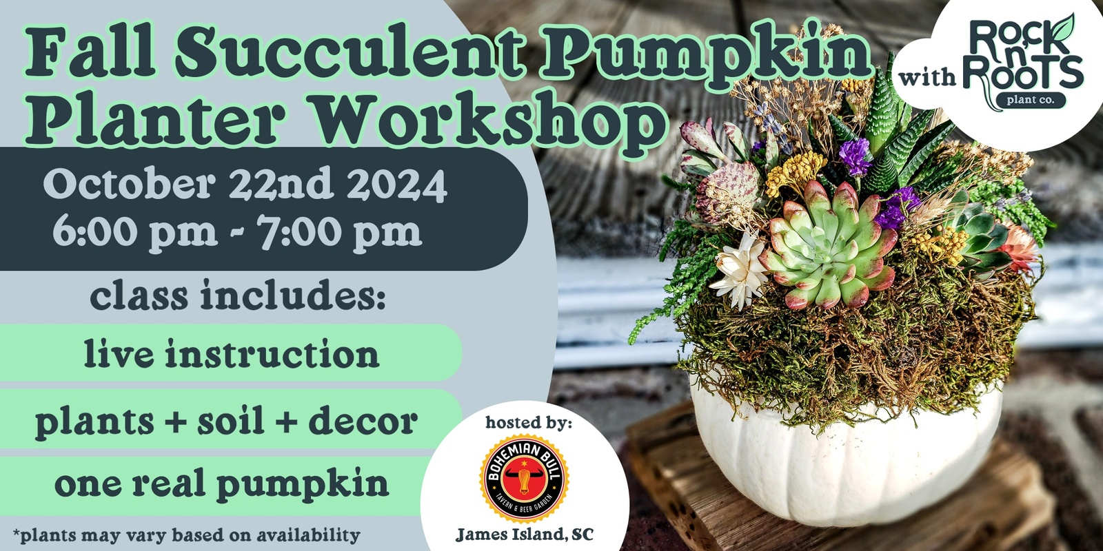 Banner image for Fall Succulent Pumpkin Planter Workshop at Bohemian Bull (James Island, SC)