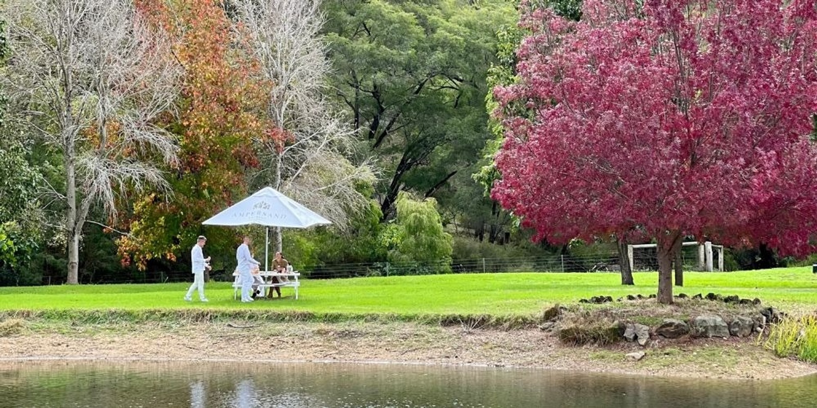 Banner image for Pinot Blanc: A White Luncheon Among the Vines @ Pinot Picnic Festival