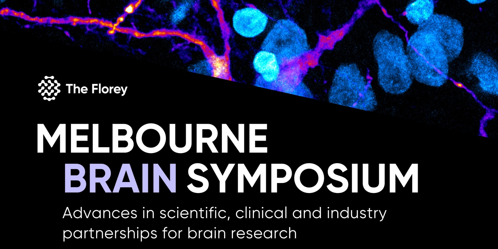 Banner image for 2024 Melbourne Brain Symposium