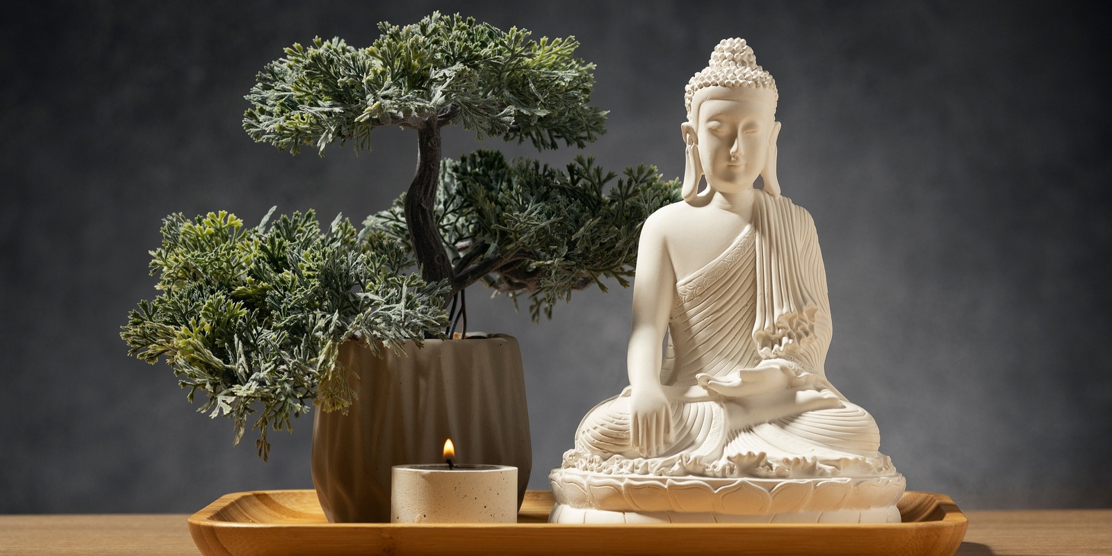 Banner image for The Art of Bonsai for Inner Peace  • Self Care for Seniors • Wendouree Library