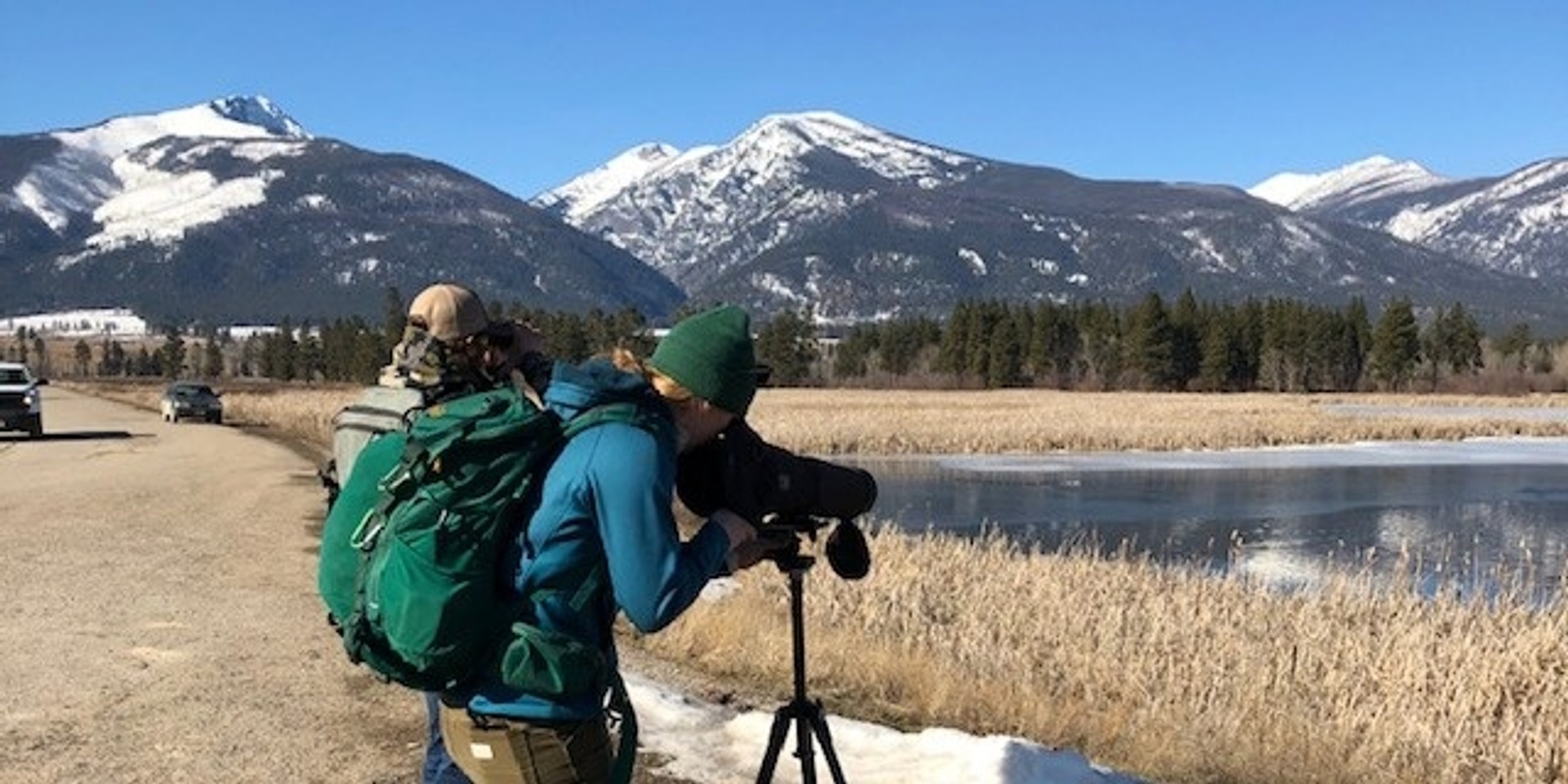 Banner image for Fall 2023 Online Master Naturalist Course