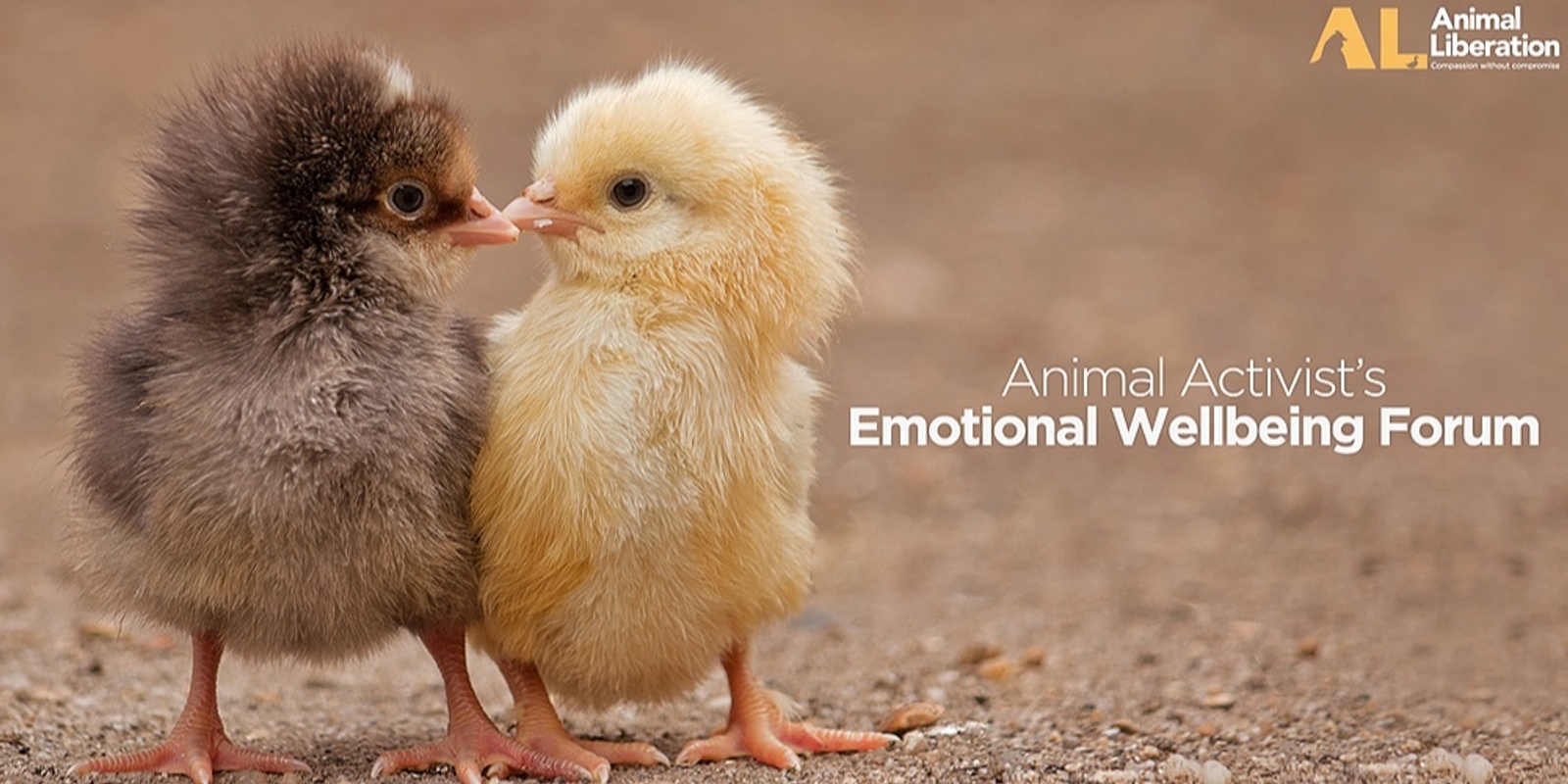 Banner image for Activist's Emotional Wellbeing Forum