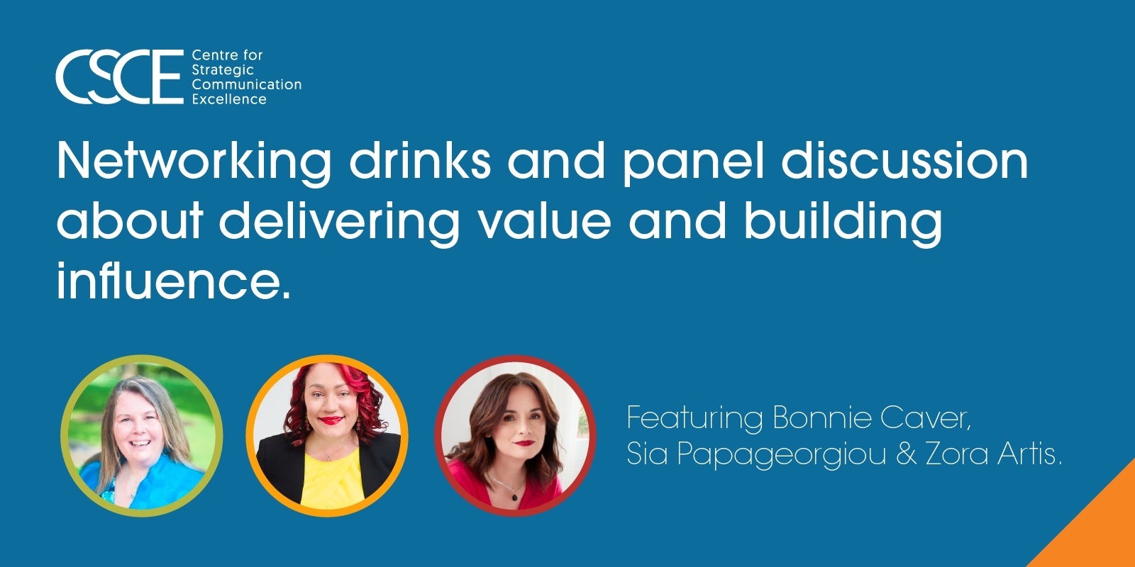 Banner image for Networking Drinks and Panel Discussion - Delivering Value and Building Influence (Melbourne)