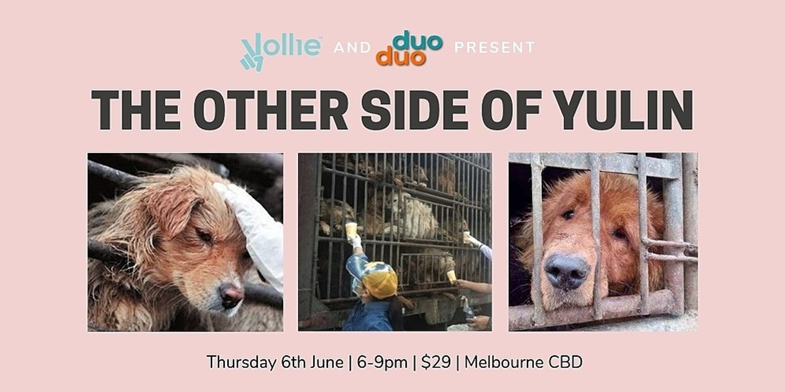 Banner image for The Other Side of Yulin