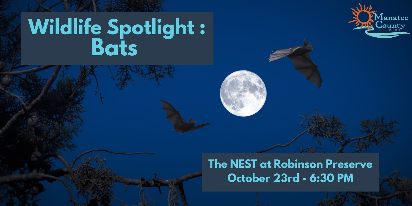 Banner image for Wildlife Spotlight: Bats 