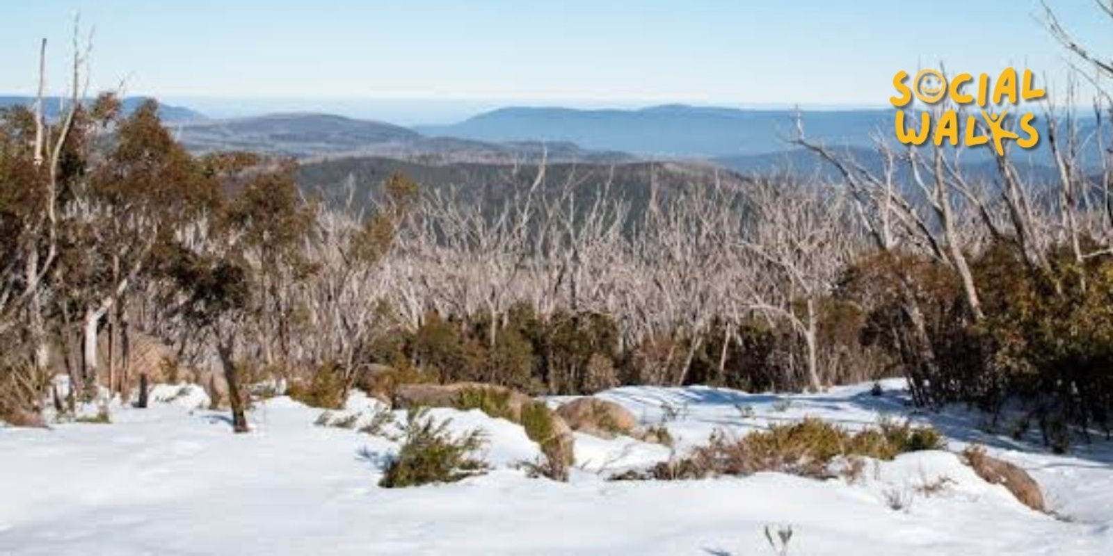 Banner image for Melbourne Social Walks - Lake Mountain Snow Trip + Summit Hike - Moderate 5km