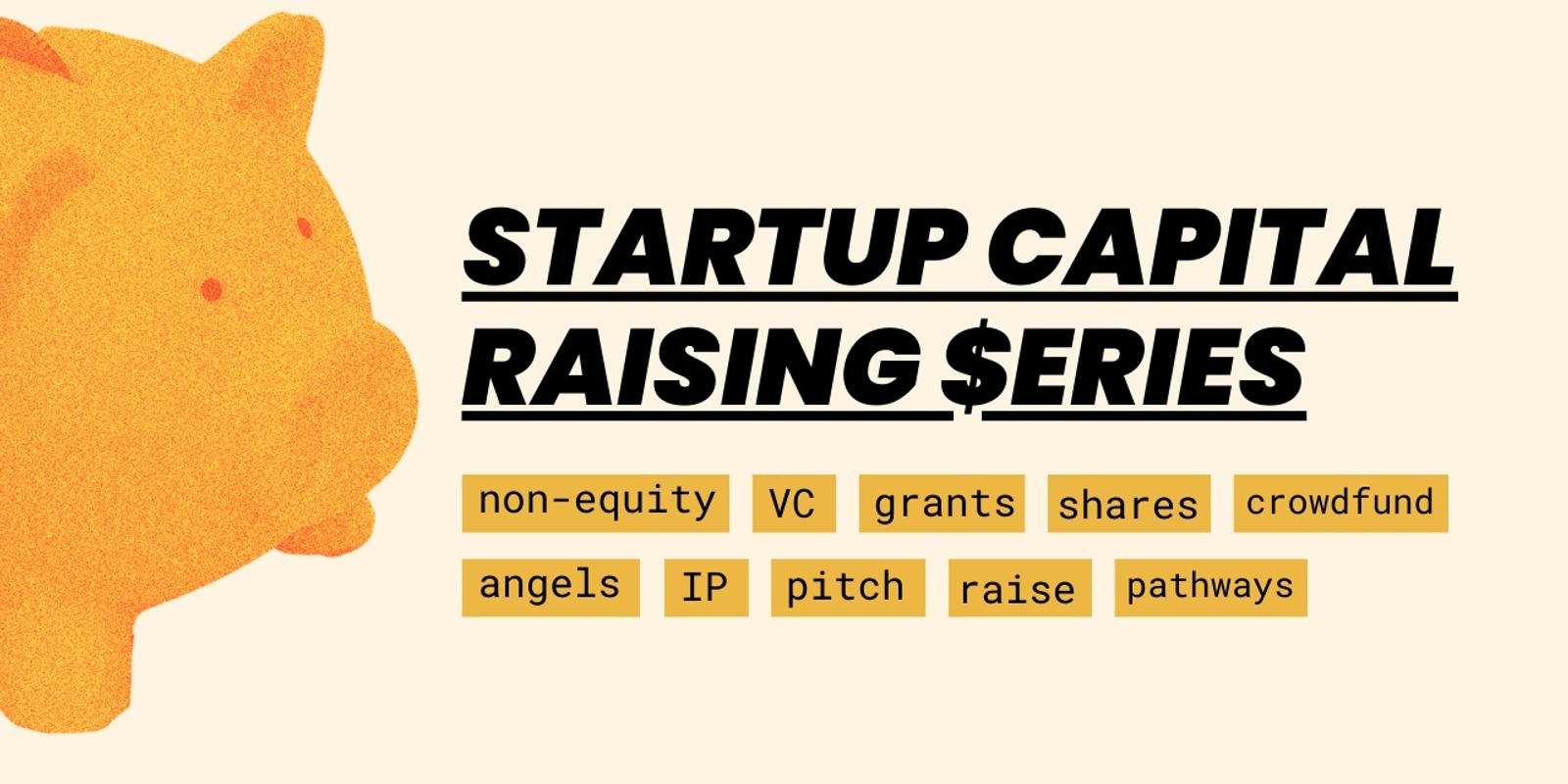 Banner image for Startup Capital Raising Series 💸