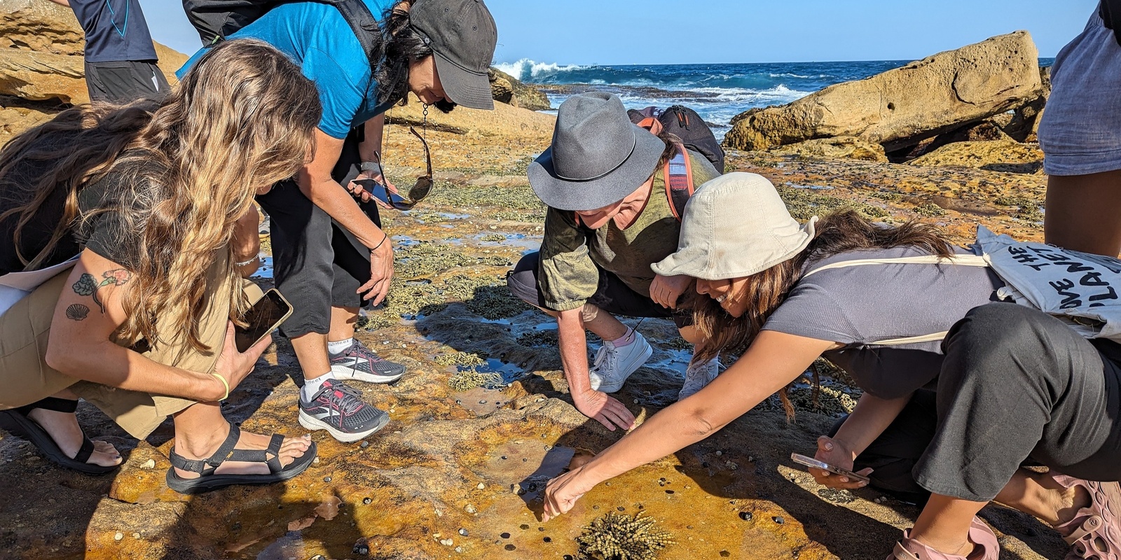 Banner image for Eastern Suburbs Sustainable Schools Network