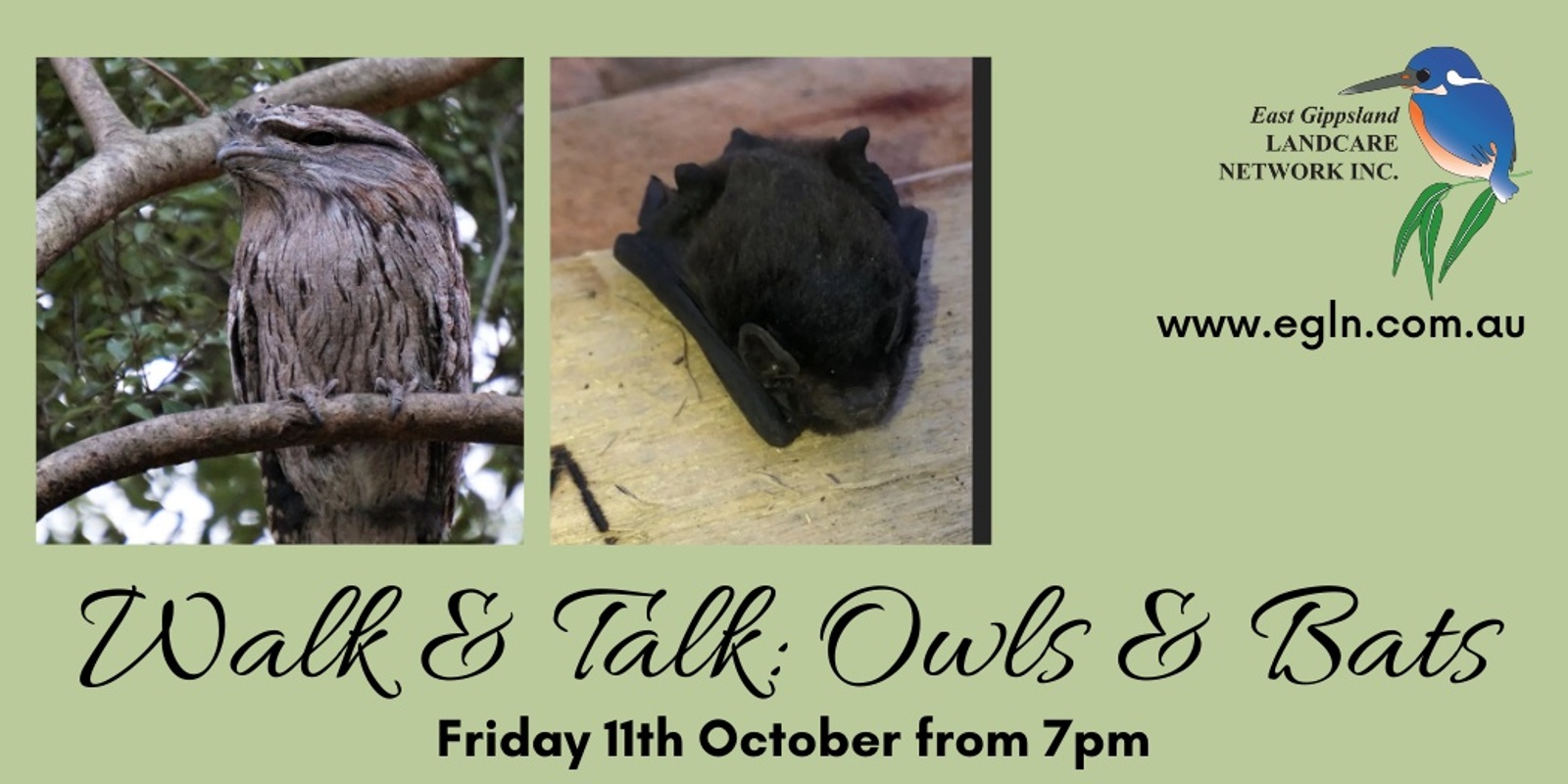 Banner image for Walk and Talk: Owls and Bats in Eagle Point