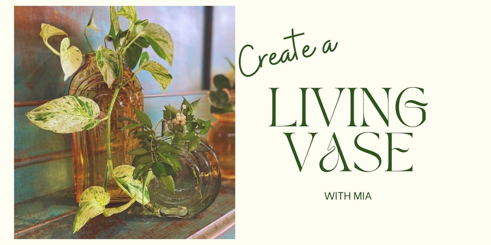 Banner image for Create a Living Vase with Mia