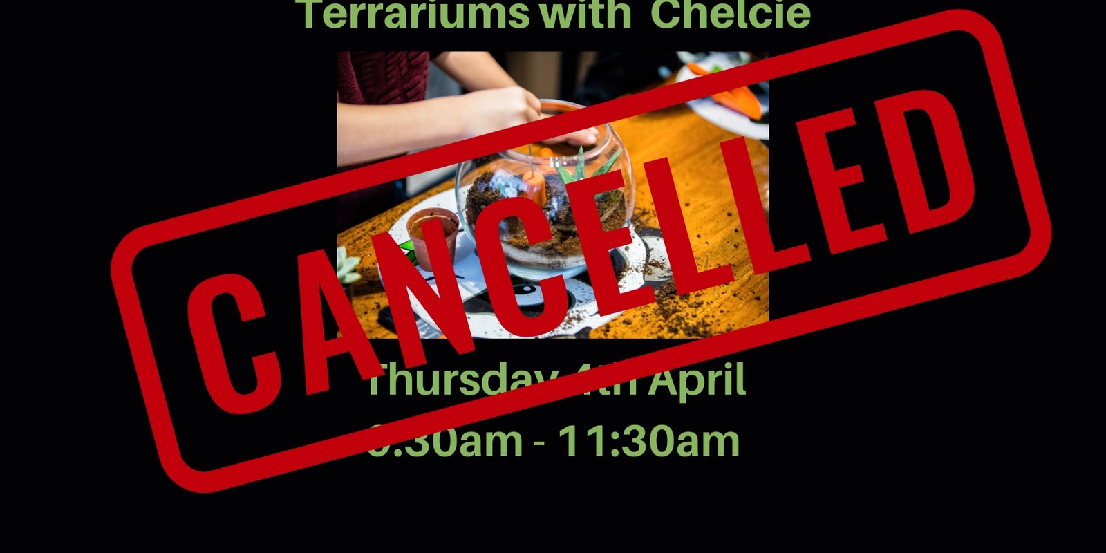 Banner image for Terrariums with Chelcie