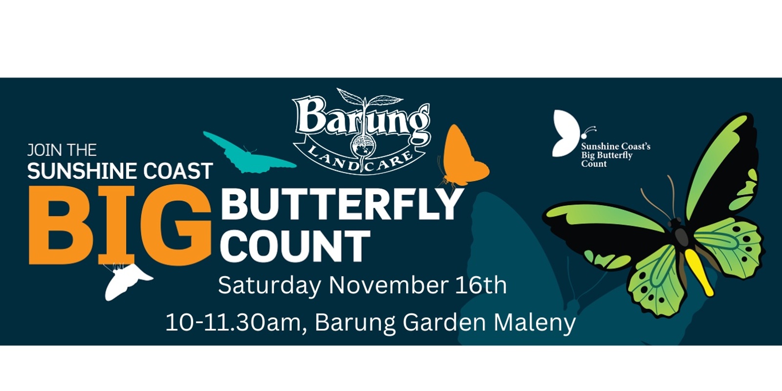 Banner image for Spring Big Butterfly Count 2024