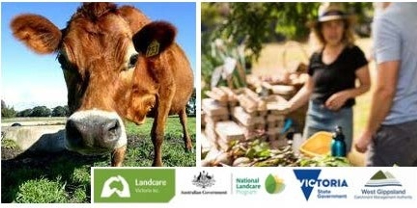 Banner image for Landcare Victoria Inc. Gippsland Forum: People, Produce and Partnership