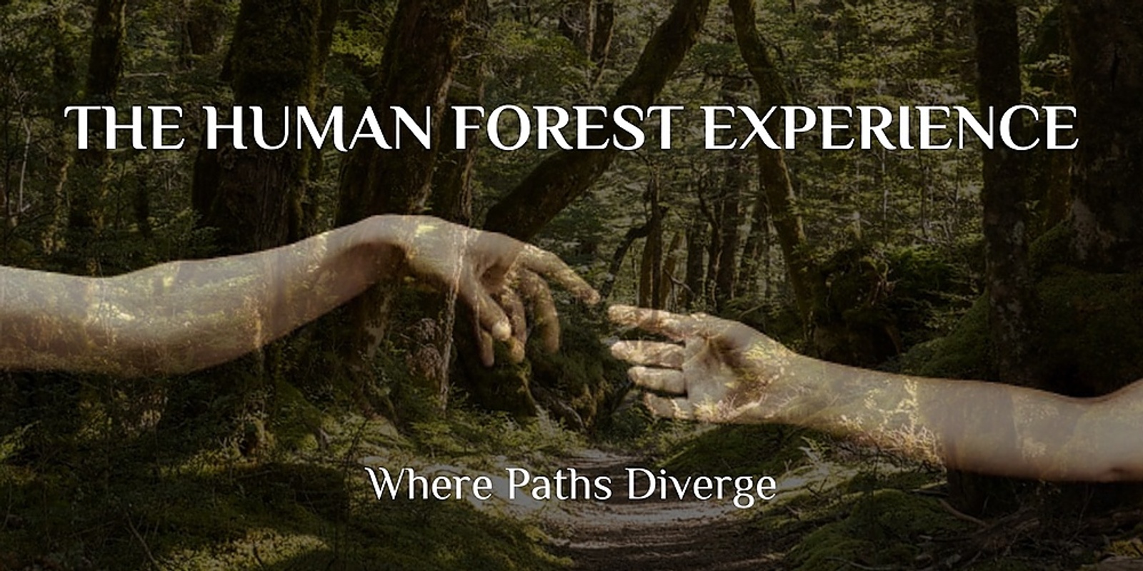 Banner image for Human Forest - Where Paths Diverge