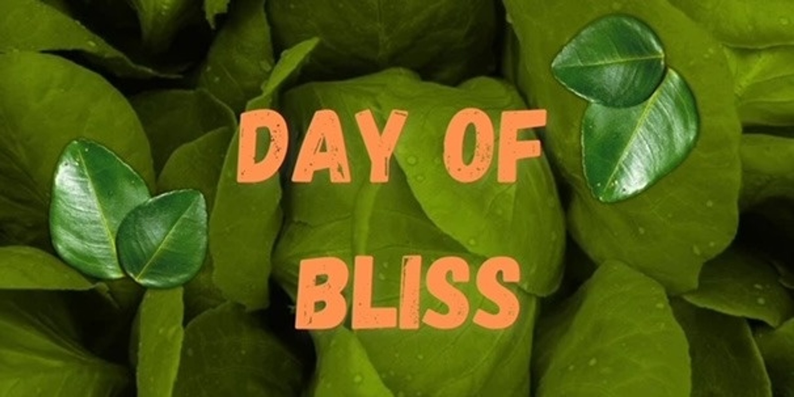 Banner image for Day of BLISS