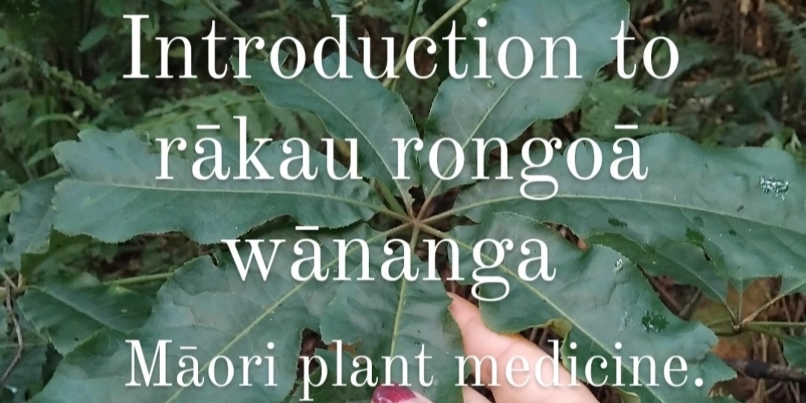 Banner image for Introduction to rākau rongoā wānanga 