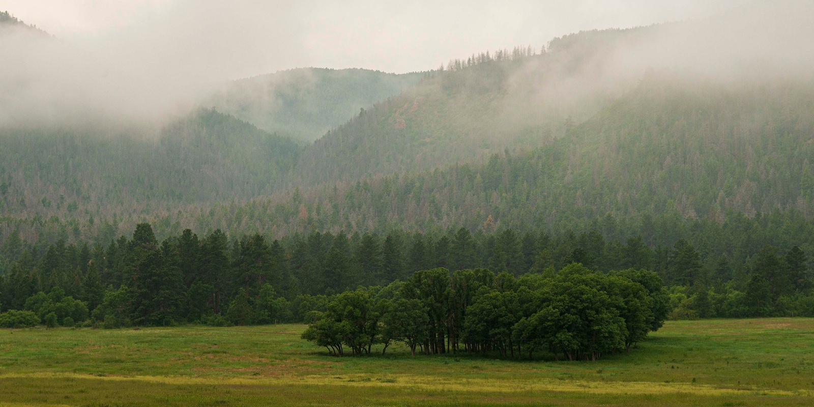 Banner image for Conservation Easements & Tax Credits: Info Session