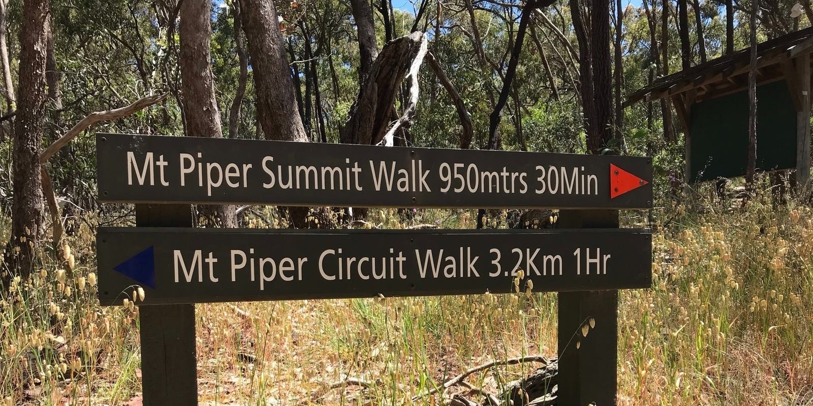 Banner image for Mount Piper Volcano Circuit and Summit - Grade 4 (medium)