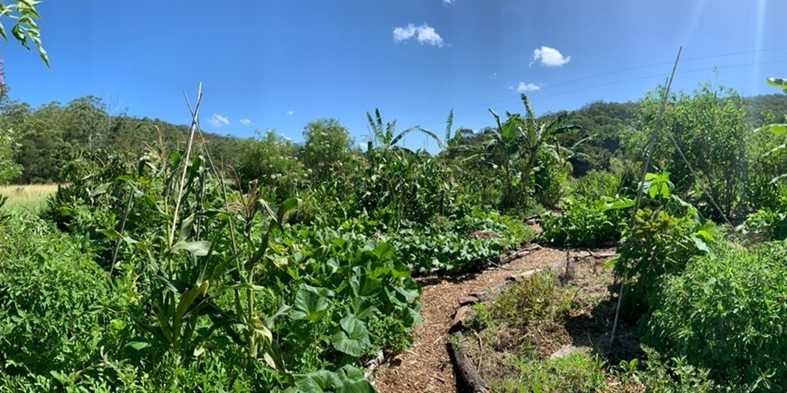 Banner image for Mandala Food Forest Garden Tour ~ Composting & No~Dig Garden Bed Workshops