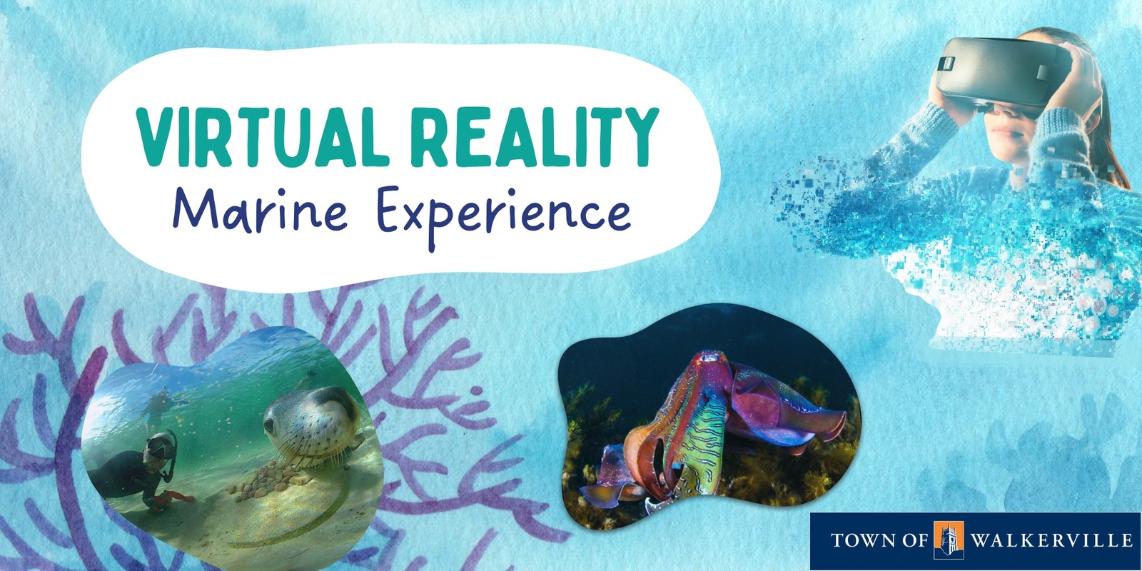 Banner image for Virtual reality marine experience